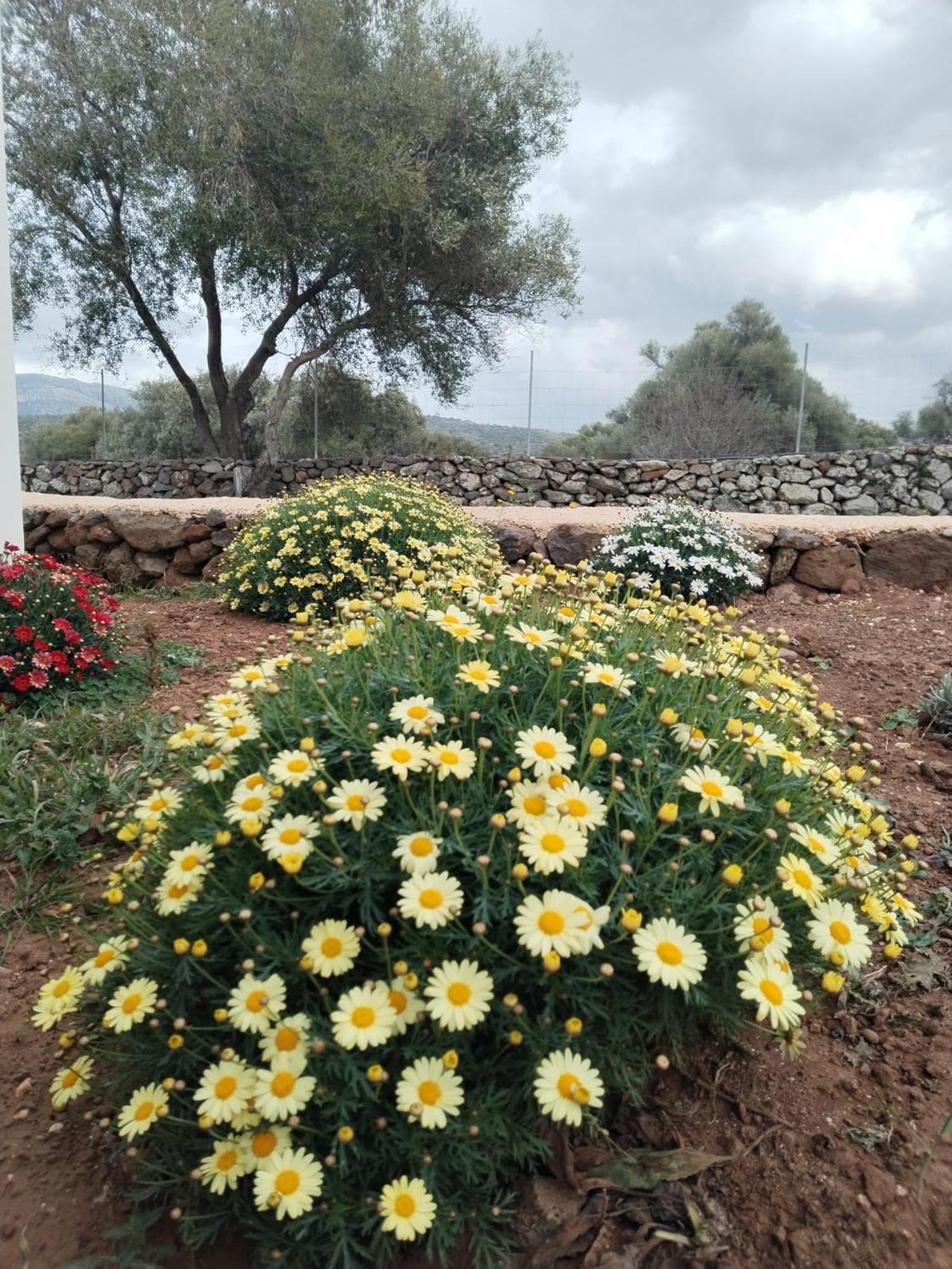 Farmhouse La Croisette - Agriturismo Доргали Екстериор снимка