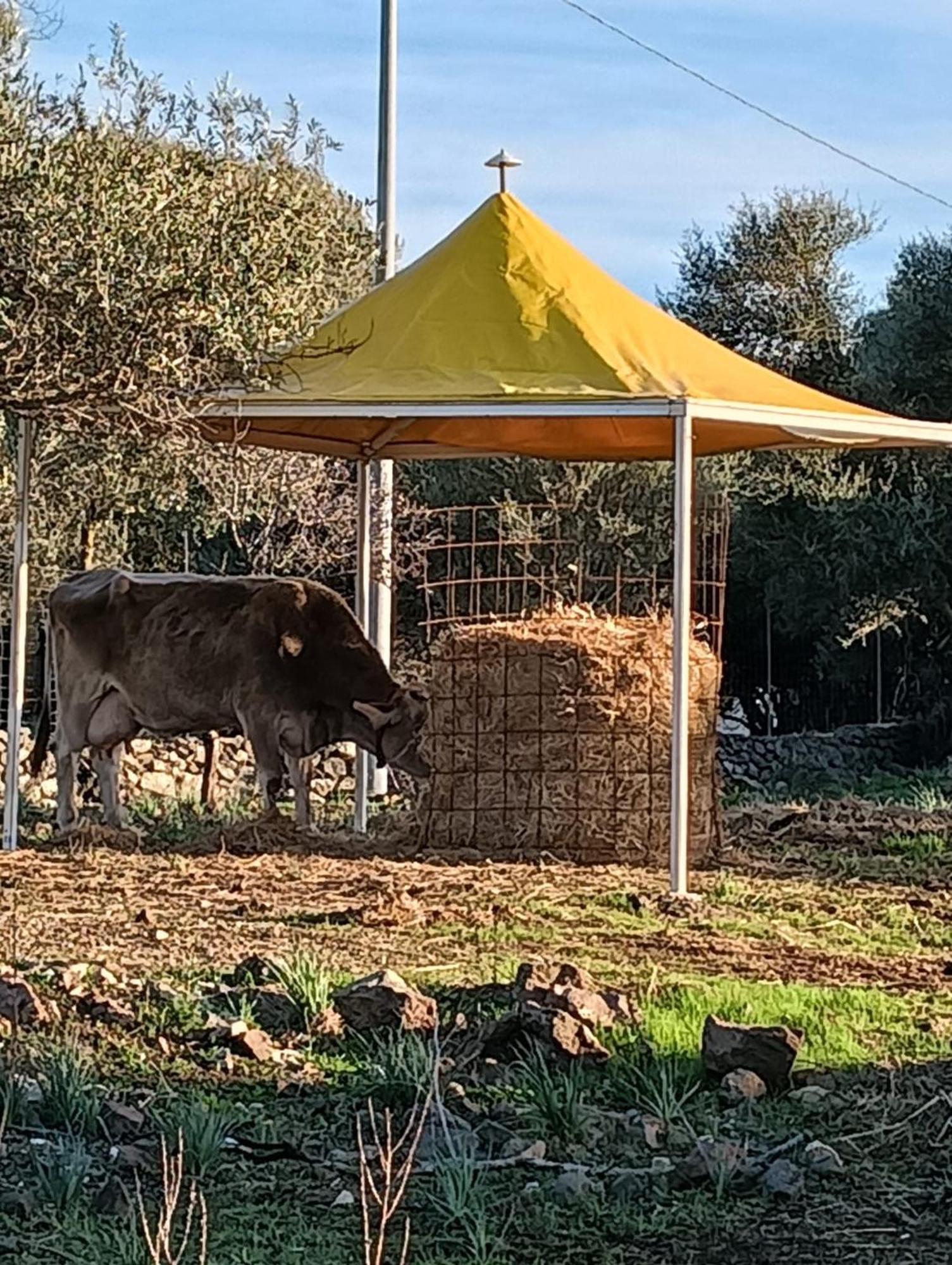 Farmhouse La Croisette - Agriturismo Доргали Екстериор снимка